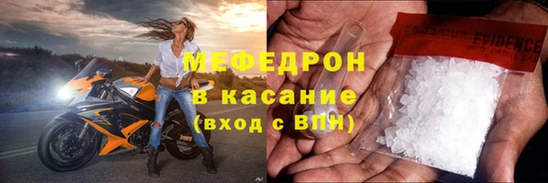 стафф Россошь