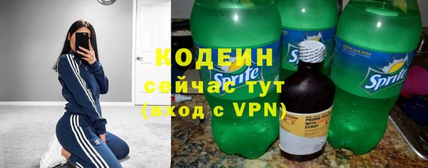 стафф Россошь