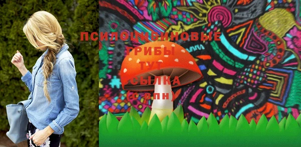 мдпв Ростов
