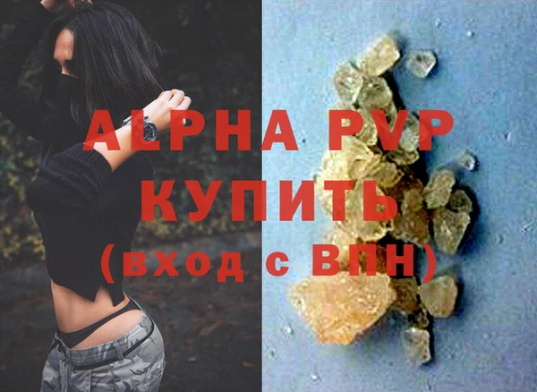 стафф Россошь
