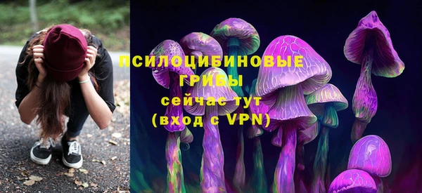амф Магадан