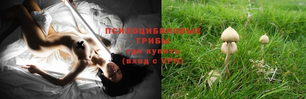 мдпв Ростов